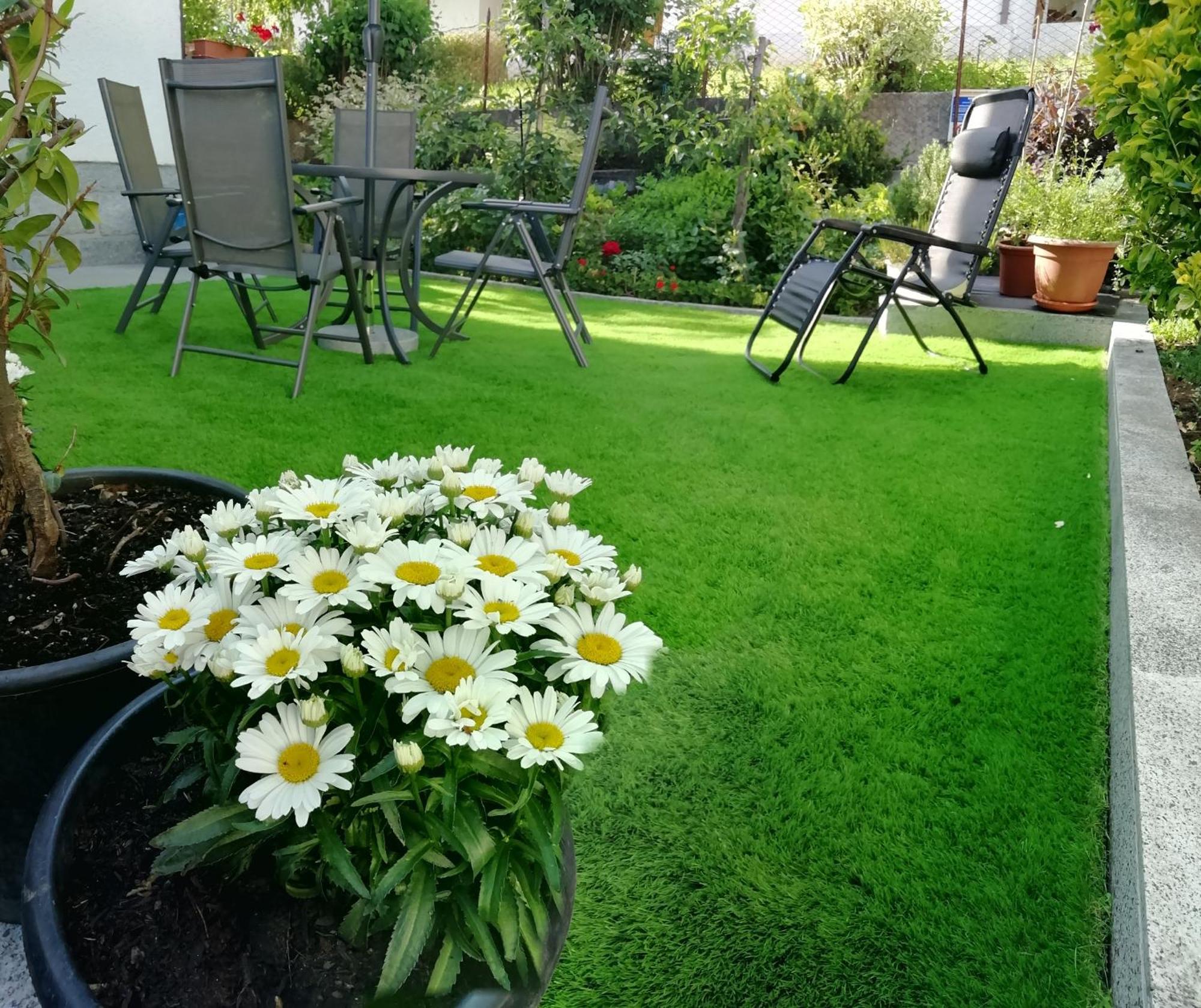 Appartamento Con Giardino Carisolo Extérieur photo